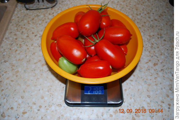 Вес сбора 2188 г.