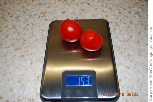 Общий сбор.