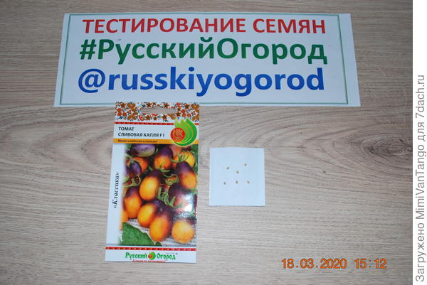 Сливовая капля F1.