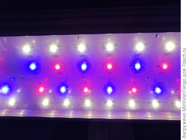 Такая есть.