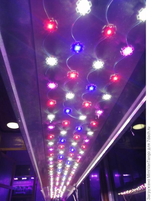 Есть у меня такие лампы, белого слишком много, будет время переделаю, добавлю синий и красный. Лампы хоть и мощные, но под другими растут лучше.