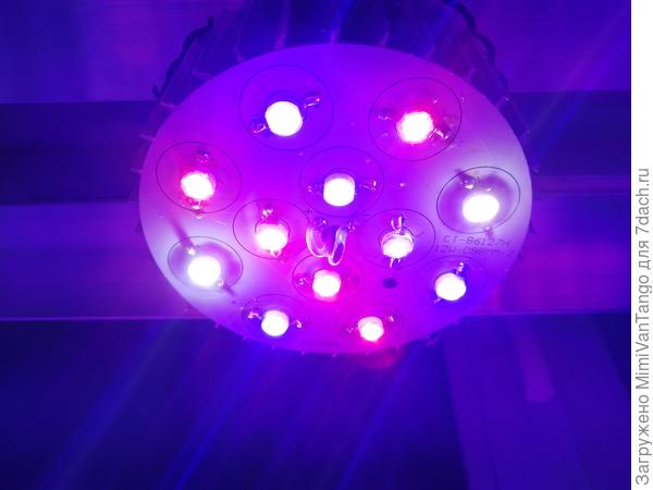 Это те, про которые писал вчера. Пока первый сезон применяю, полёт нормальный.