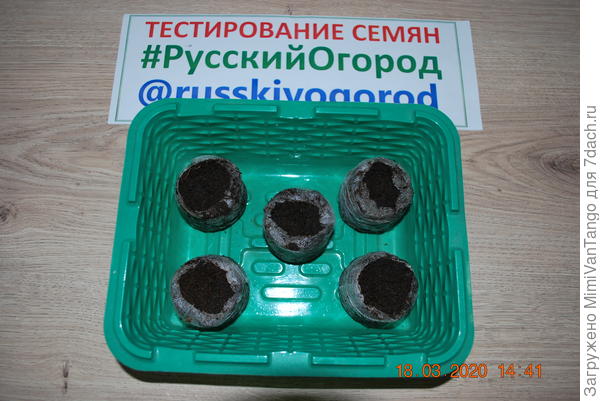 Таблетки с семенами поместил в минипарник.
