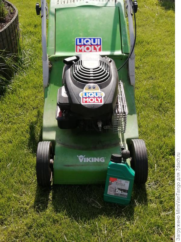 Готовы. И красивы, и смазаны, и накормлены))