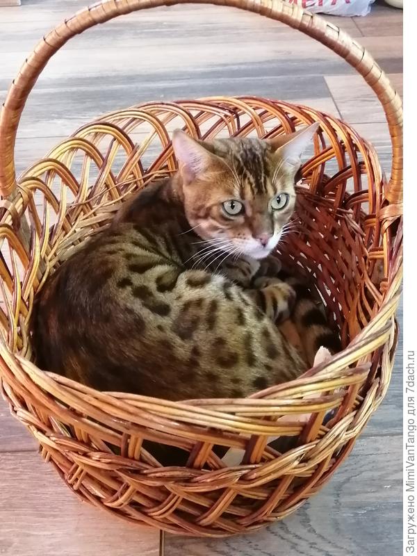 Сейчас уже подрос немного.