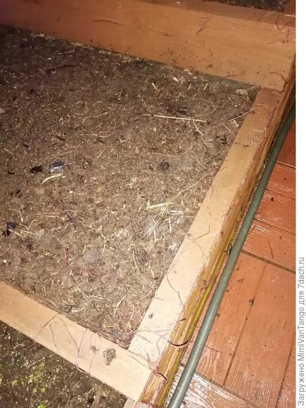 После обработки почвы Стимиксами.