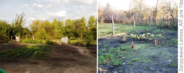 Участок перед домом на момент переезда