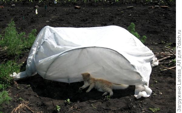 ффф