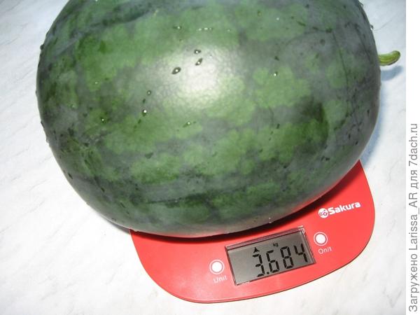 Этот, наверно, один из самых крупных в этом году.