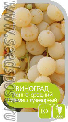 Виноград Кишмиш Лучезарный
