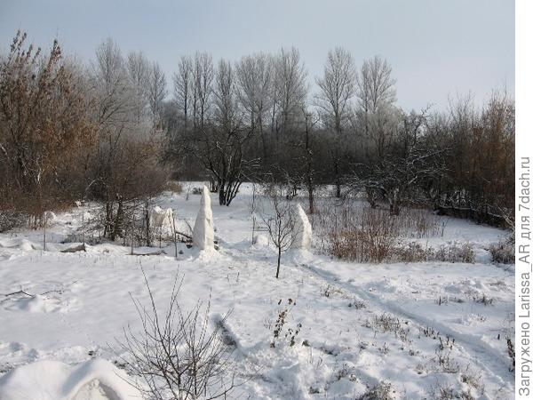 Первый снег))