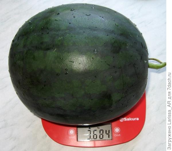 15.