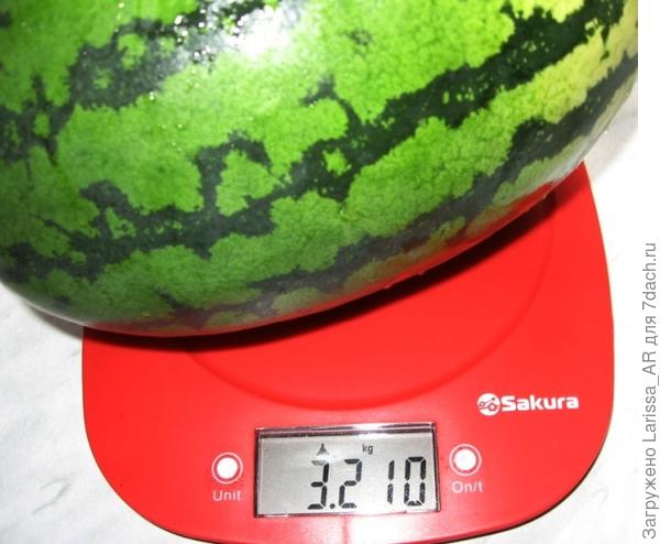 18.