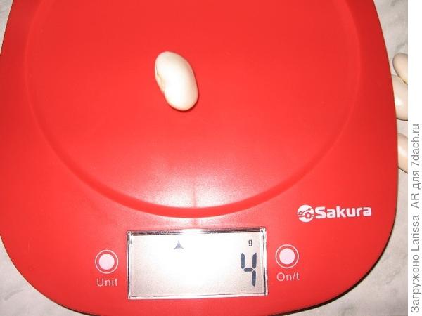 3.