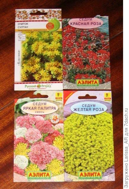 В итоге, у меня сейчас четыре разновидности, буду еще  другие выращивать))