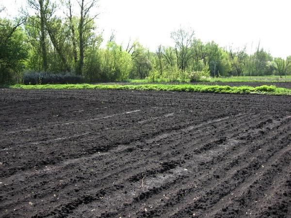 Весной почва, отдохнув за зиму и  напитавшись талыми водами, ждет новых посевов. В Воронежской области находится, в том числе, и эталонный чернозем.