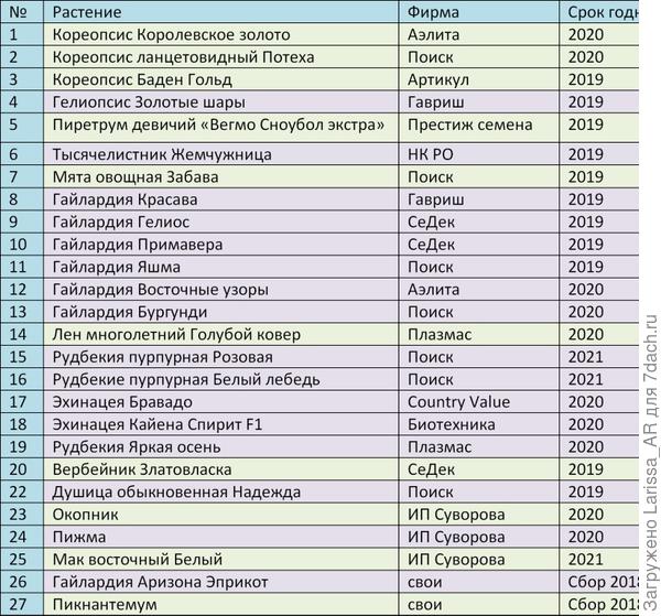 Эхинацея кайена спирит выращивание из семян