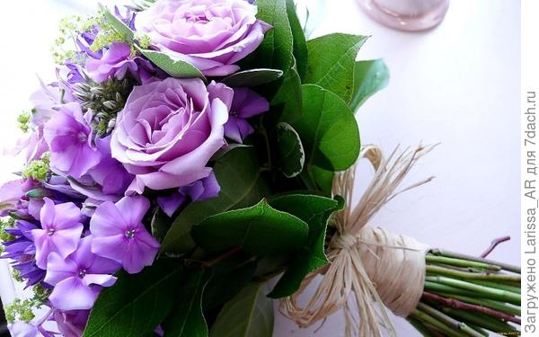 С замечательным праздником - Днем рождения!