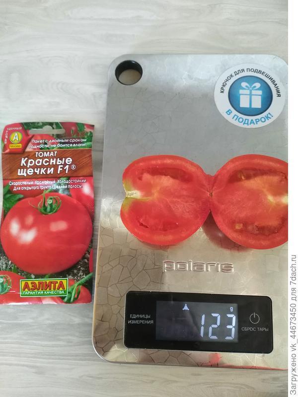 Вес плода 123 г