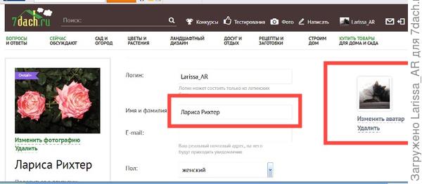 На примере моего профиля