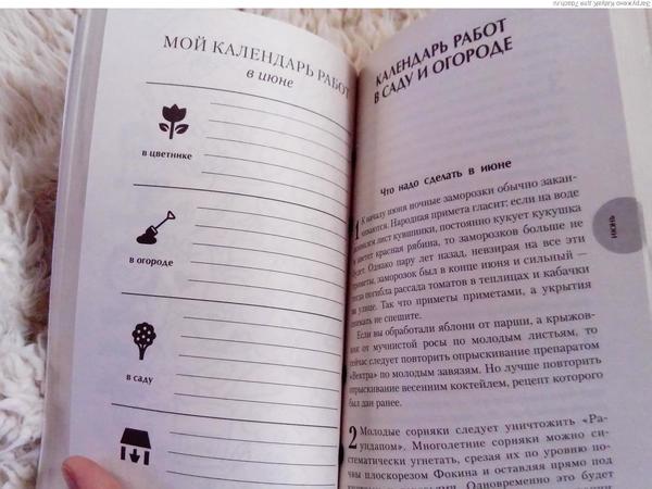 Страницы календаря