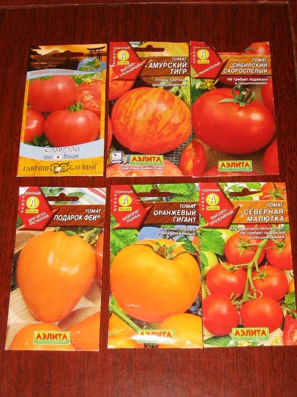 Удачные сорта томатов для ОГ