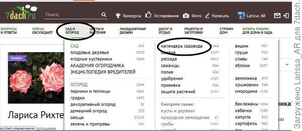 Шаг 1