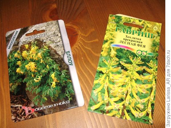 Семена хохлатки