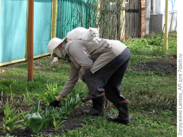 С любимой хозяйкой