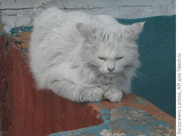 Компромат на чистюлю)) ВЕнера после недельного загула)))