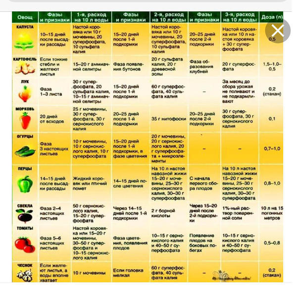 Таблица подкормок овощей