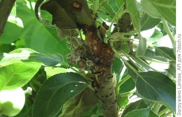 Повреждения поближе