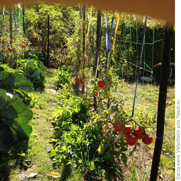 Совмещённые посадки 4 октября