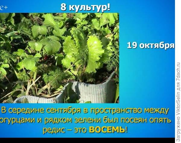 Восемь
