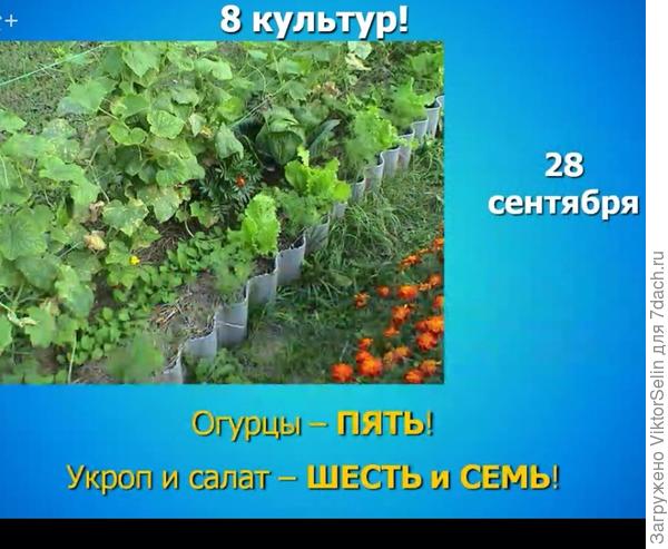 Пять, шесть, семь...