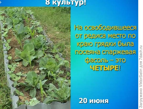 Четвёртая культура