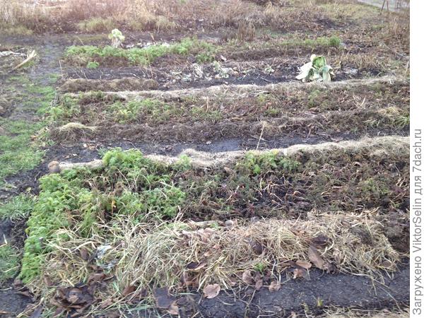 Это ещё и порядок - левее жуть какой бардак