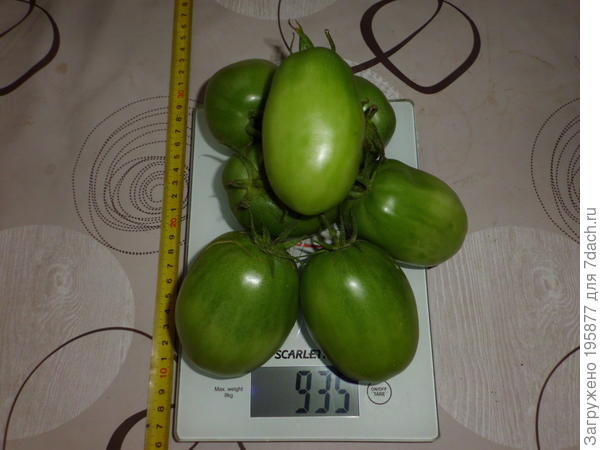 кисть на весах