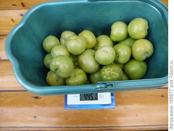 ведро с томатами