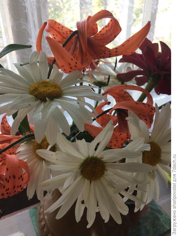 Светлой и яркой жизни!