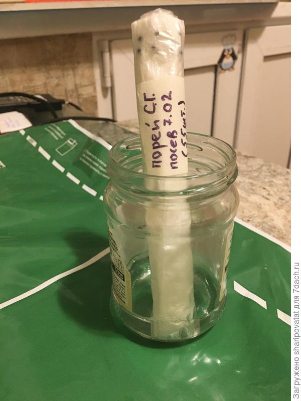 7.02.2023 Порей