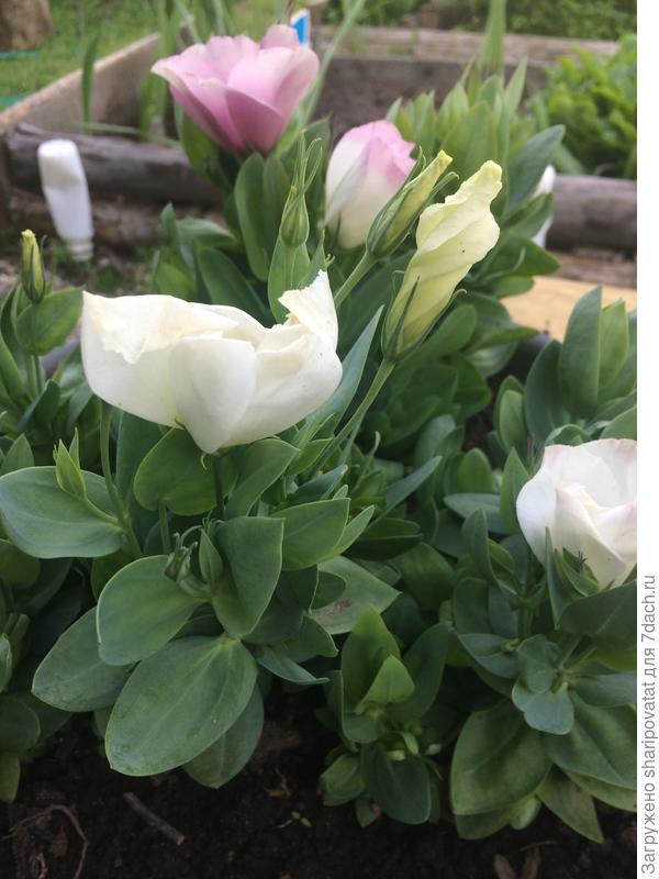 Будьте счастливы!