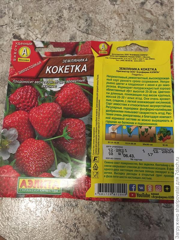 Кокетка без стратификации