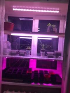 &amp;quot;Этажи&amp;quot; на подоконнике