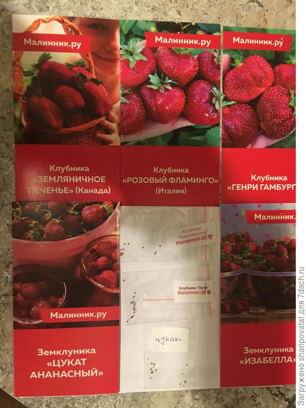 Новый набор семян клубники и земклуники