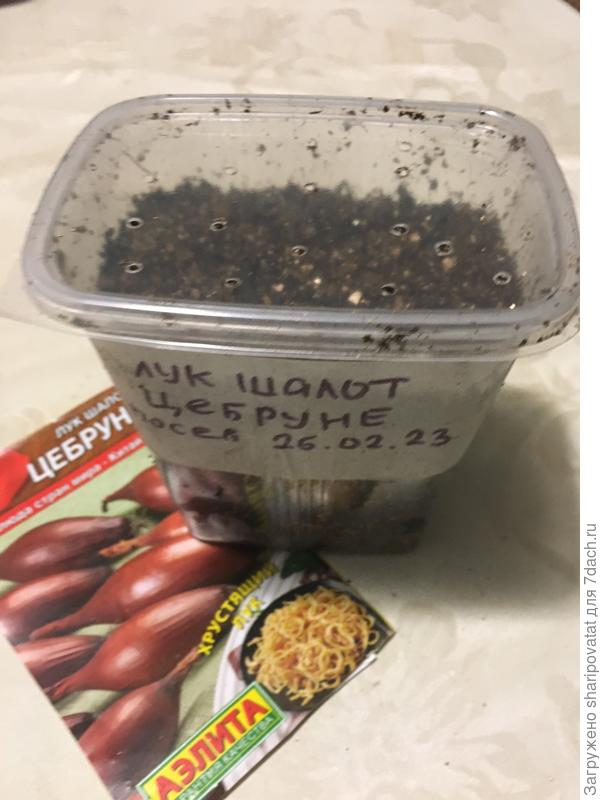 Посев 26.02.2023