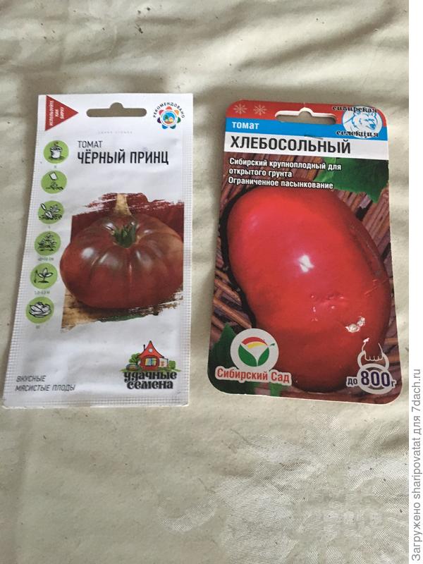 Протеже соседей