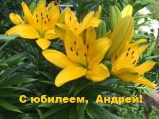 С днем рождения!