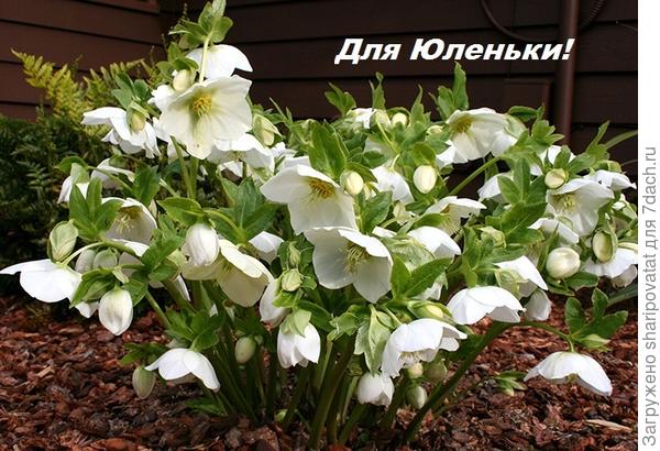 П о з д р а в л я ю!