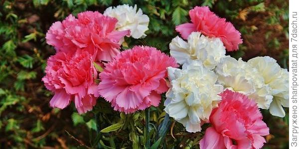 П о з д р а в л я ю!